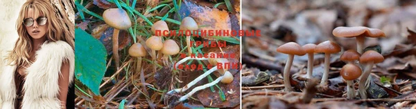 мдма Новодвинск